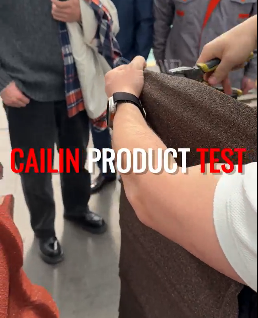 International Visitors Tour Cailin’s Stone-Coated Metal Roofing Factory