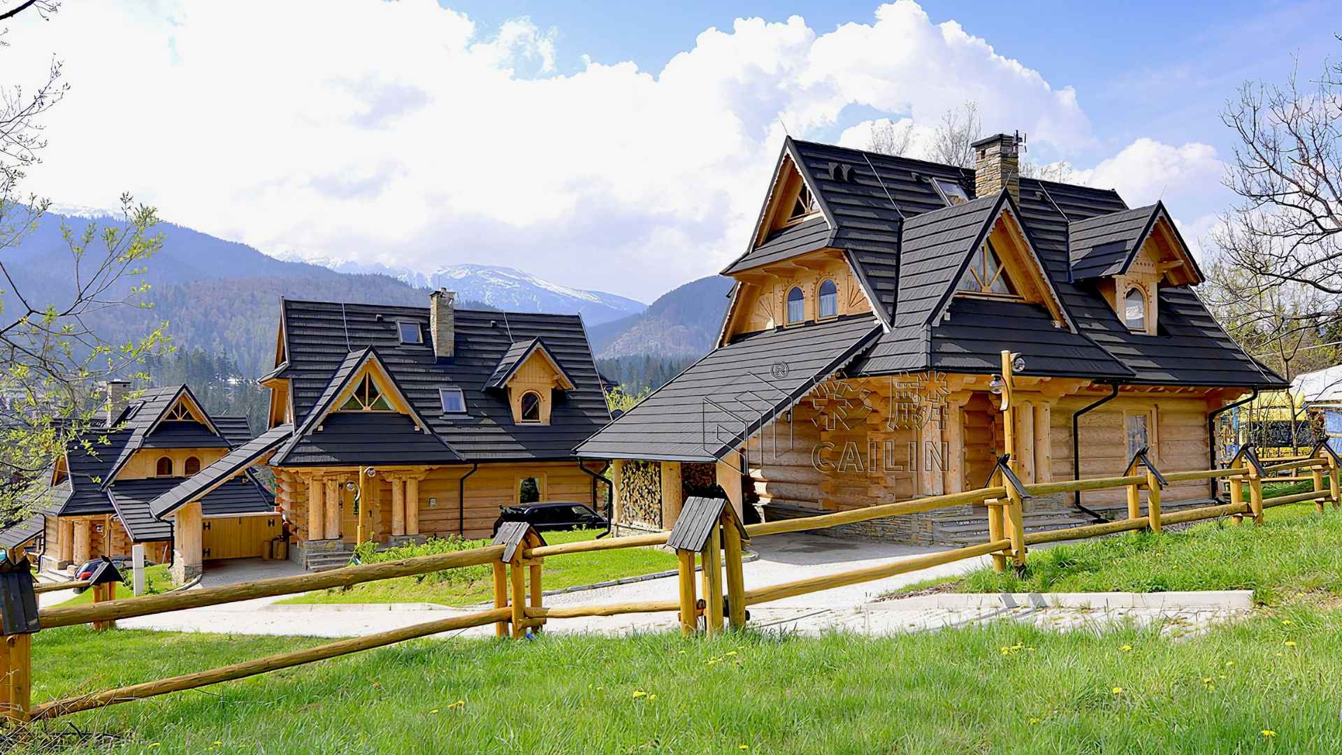 Comprehensive Analysis of Cailin Stone-Coated Metal Roof Tiles