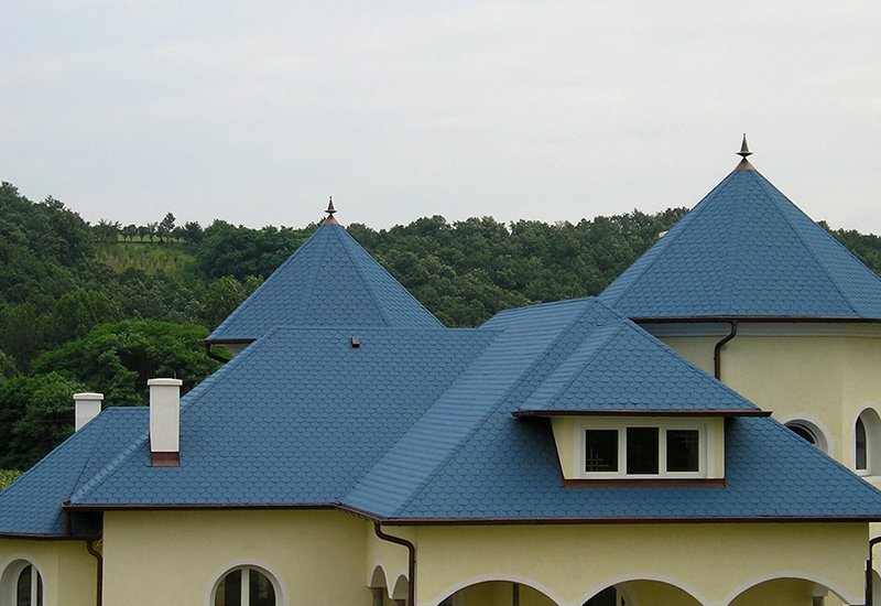Черепица из рыбьей чешуи